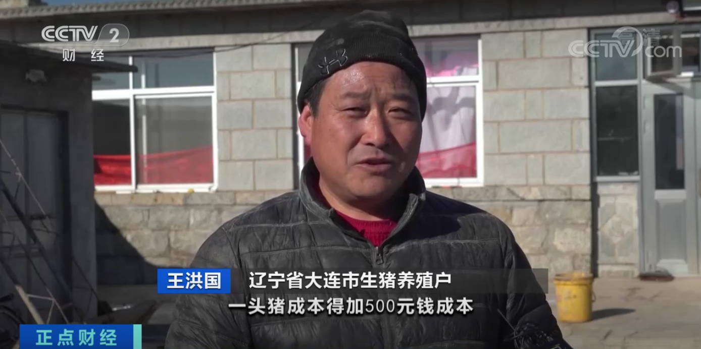 生猪价格高位运行，“猪期货”为养殖业提供新