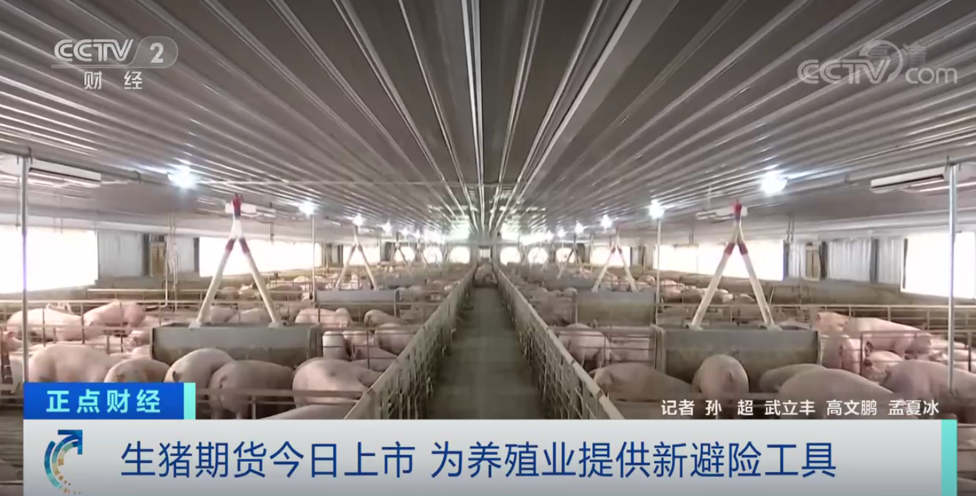 生猪价格高位运行，“猪期货”为养殖业提供新