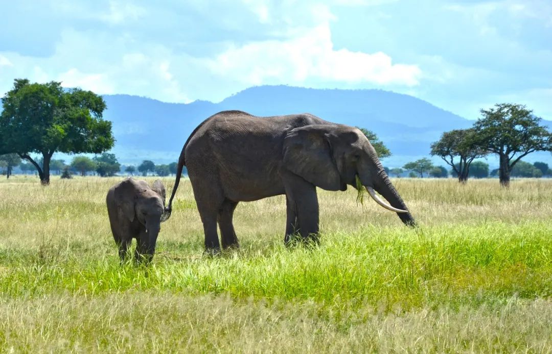 �ذ���86�ڣ�ǩ��