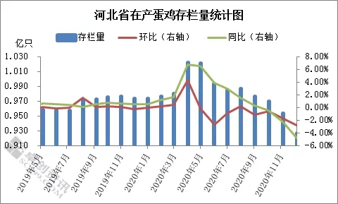 12月份河北省蛋鸡市场概述