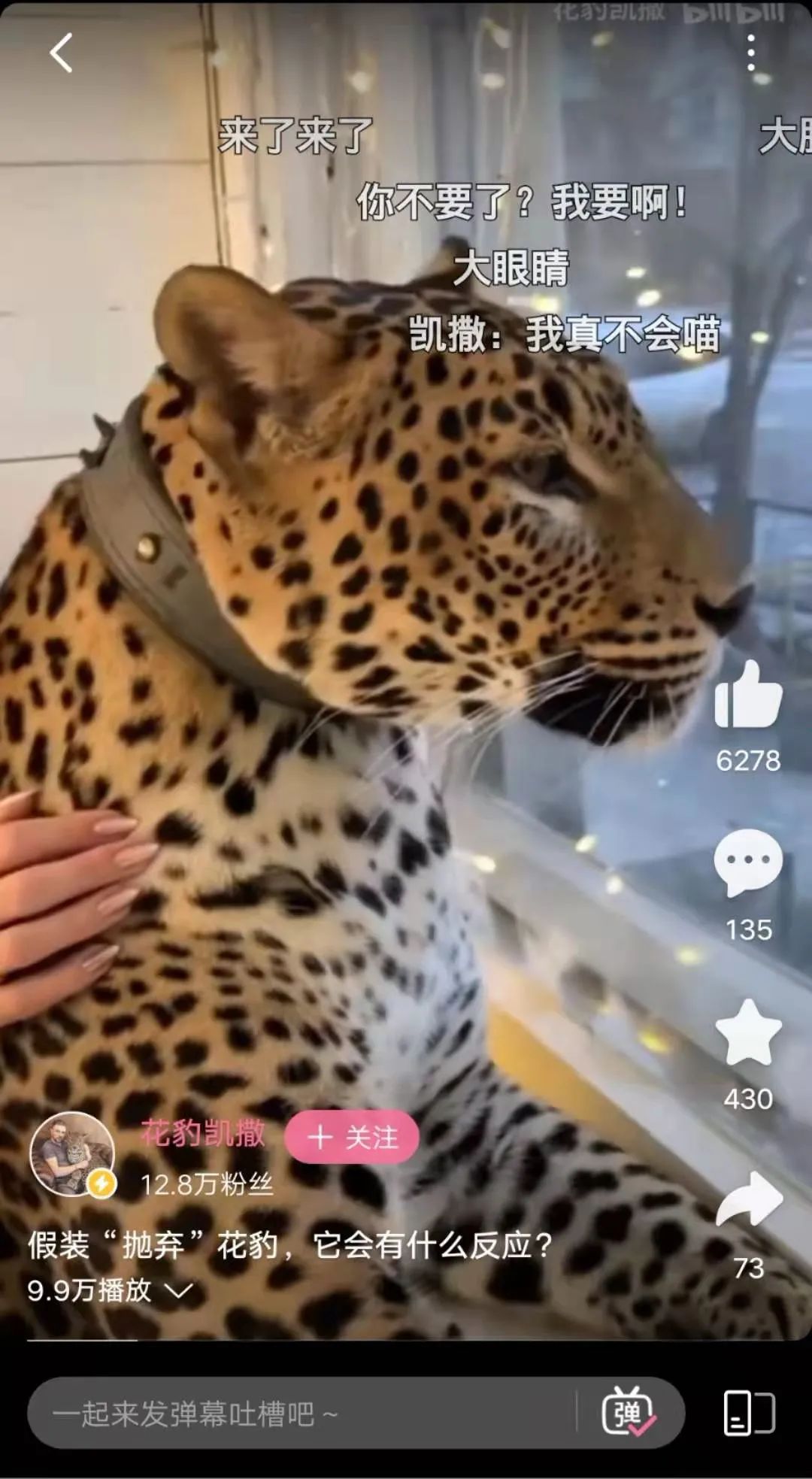 为什么短视频难逃「单列沉浸式」的真香定律？