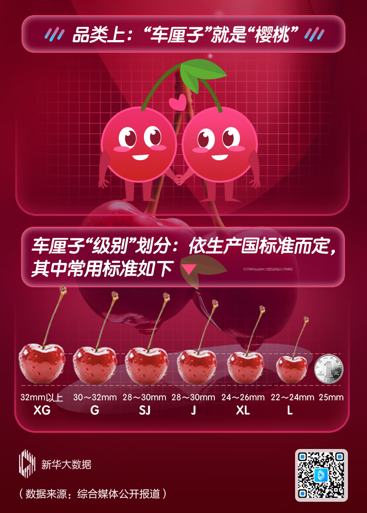 Farsighted think of momently ｜ " car a unit of weight child free " came