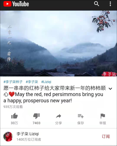 More than pickle, korean say dried persimmon also is them...