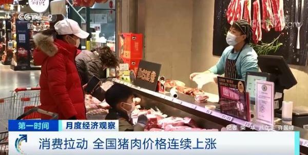 Consumption is pulled move countrywide pork price to rise continuously