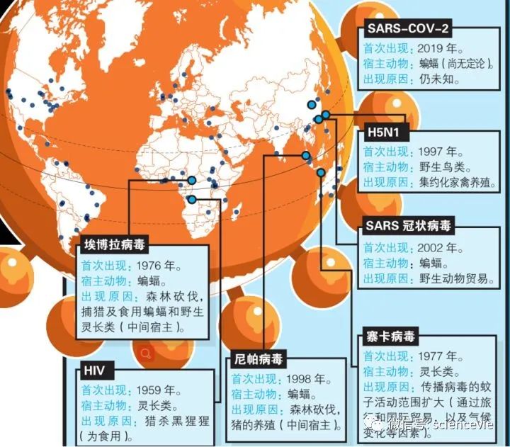 為什么會有越來越多的新發(fā)病毒？
