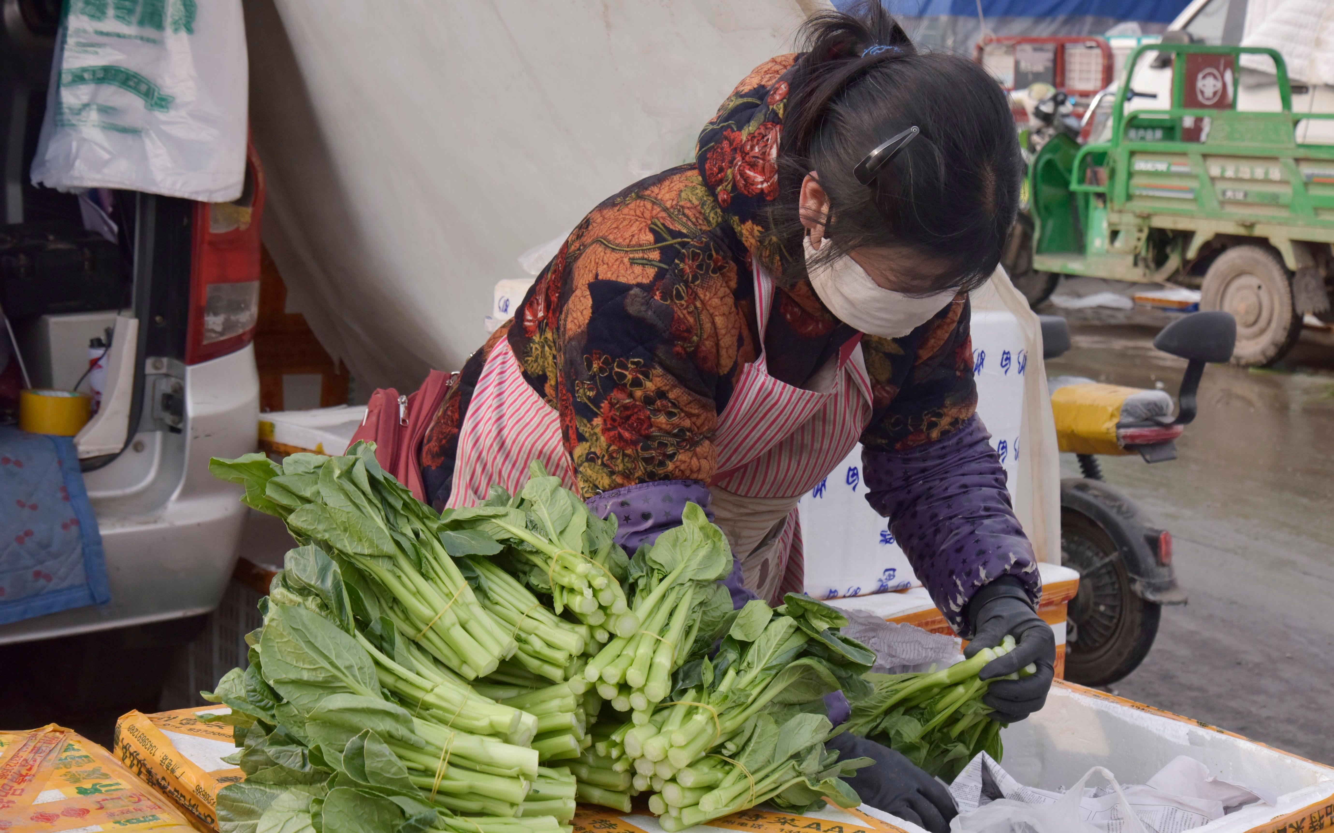 北京加大“菜篮子”保供，蔬菜价格回落明显