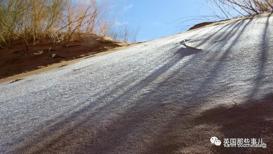 撒哈拉沙漠又下雪了！一缕白雪一缕黄沙，看着有点像童年的奶糖…？