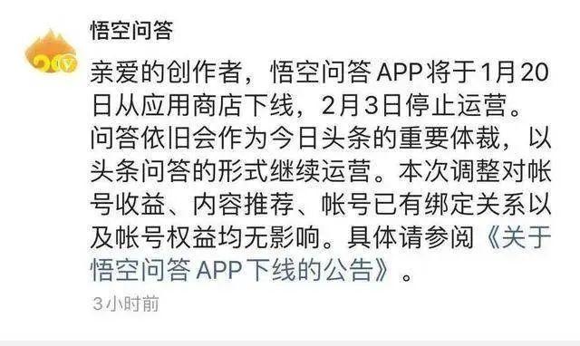 悟空问答早期员工反思：这场失败，是必然的吗？