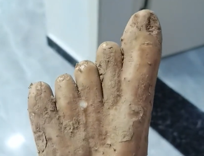 女子买到山药像极了人脚，“指甲盖”清晰可见，网友：成精了