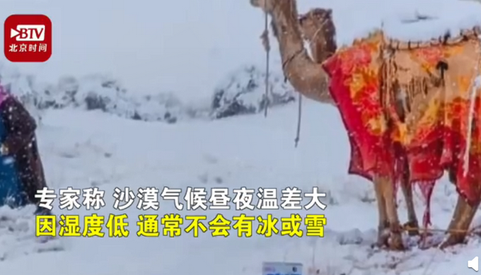 沙漠|骆驼在撒哈拉沙漠雪中漫步 真是神奇的大自然