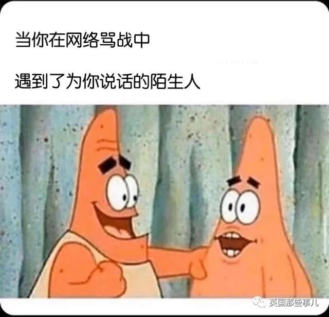 歪果网友分享年度最暖心治愈的梗图，看完感觉心情大好