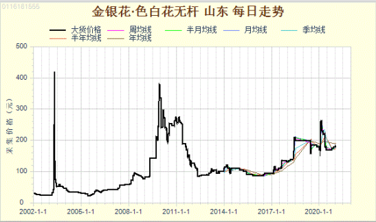 因“疫”谈金银花 看未来行情走势