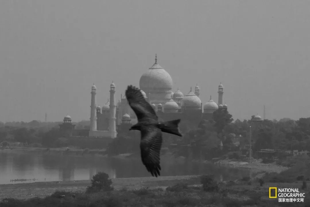 “我殺了我哥和我弟，還把我爸扔進監獄。”