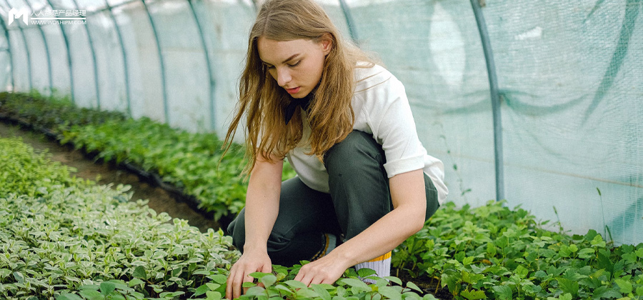 三农自媒体如今还有机会吗？