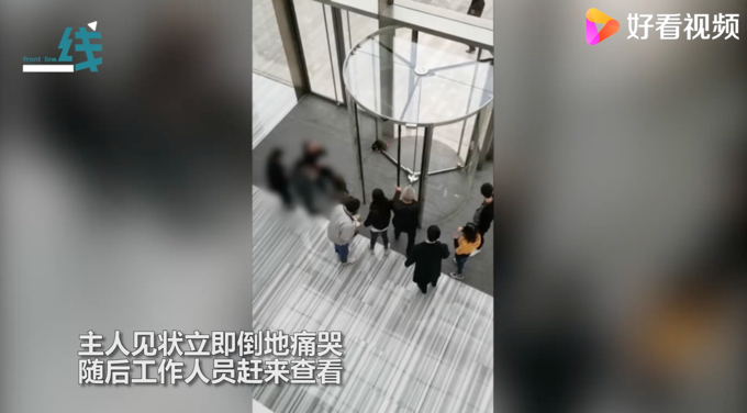 寵物狗被卡旋轉(zhuǎn)門女子倒地哭喊!物業(yè)無奈拆門:違規(guī)進(jìn)入還不牽繩