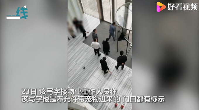 寵物狗被卡旋轉(zhuǎn)門女子倒地哭喊!物業(yè)無奈拆門:違規(guī)進(jìn)入還不牽繩