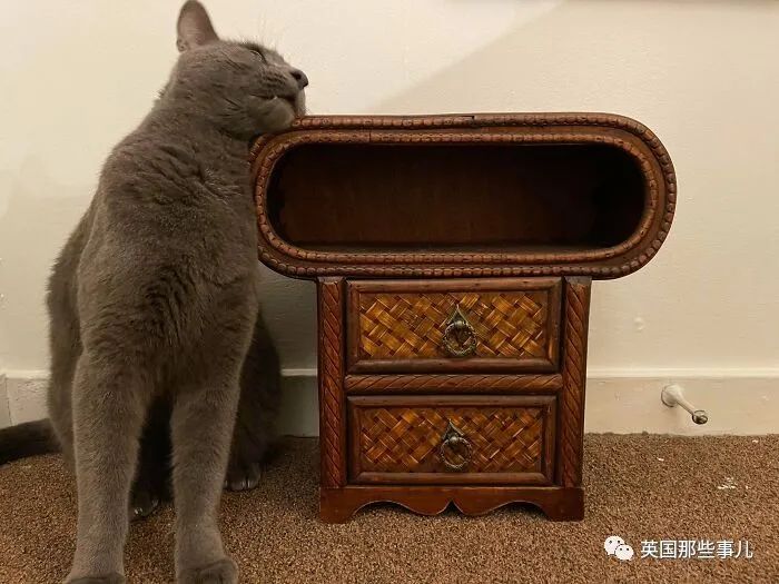 國外大神科普，這些神秘物體到底是啥？奇怪的星空体育官网入口网站又增加啦