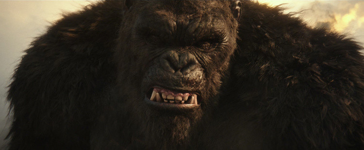 金刚|哥斯拉大战金刚预告 两大怪兽王者首度交锋