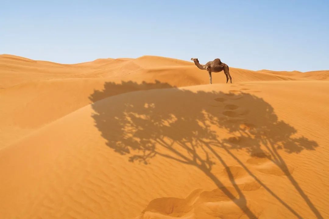 世界自然奇觀名單