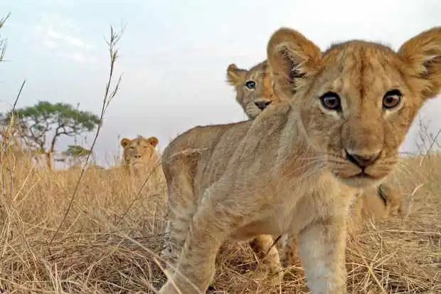 世界自然奇觀名單