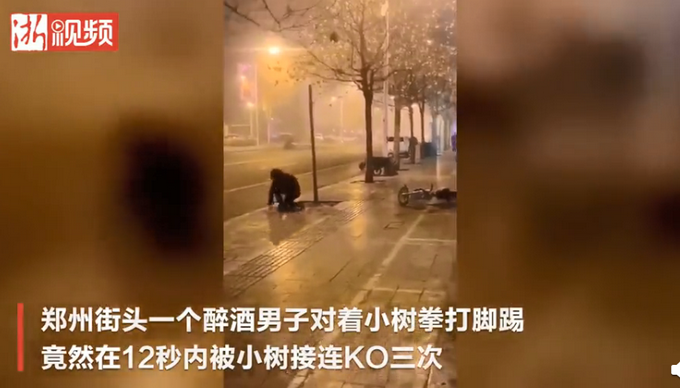 醉汉与小树对打12秒被KO三次，跌倒仍爬起继续打！评论亮了