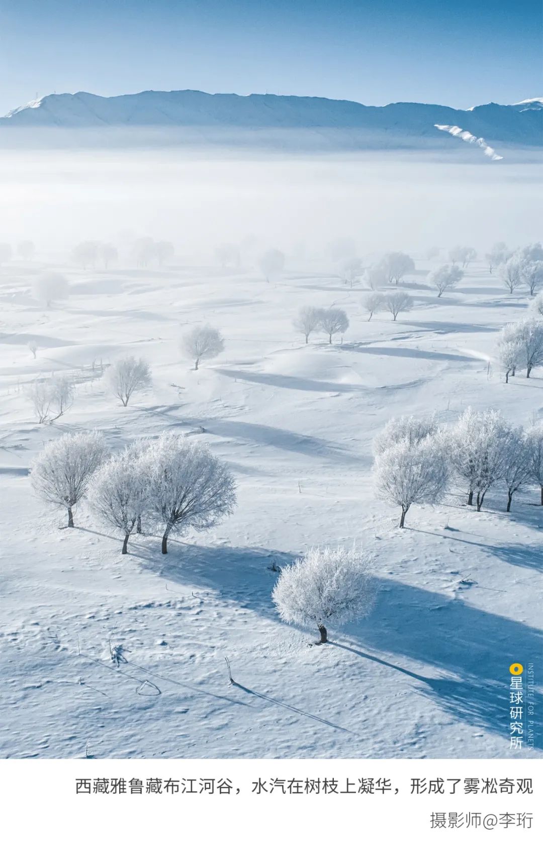 6種色彩，30張圖片，領略冬季之美