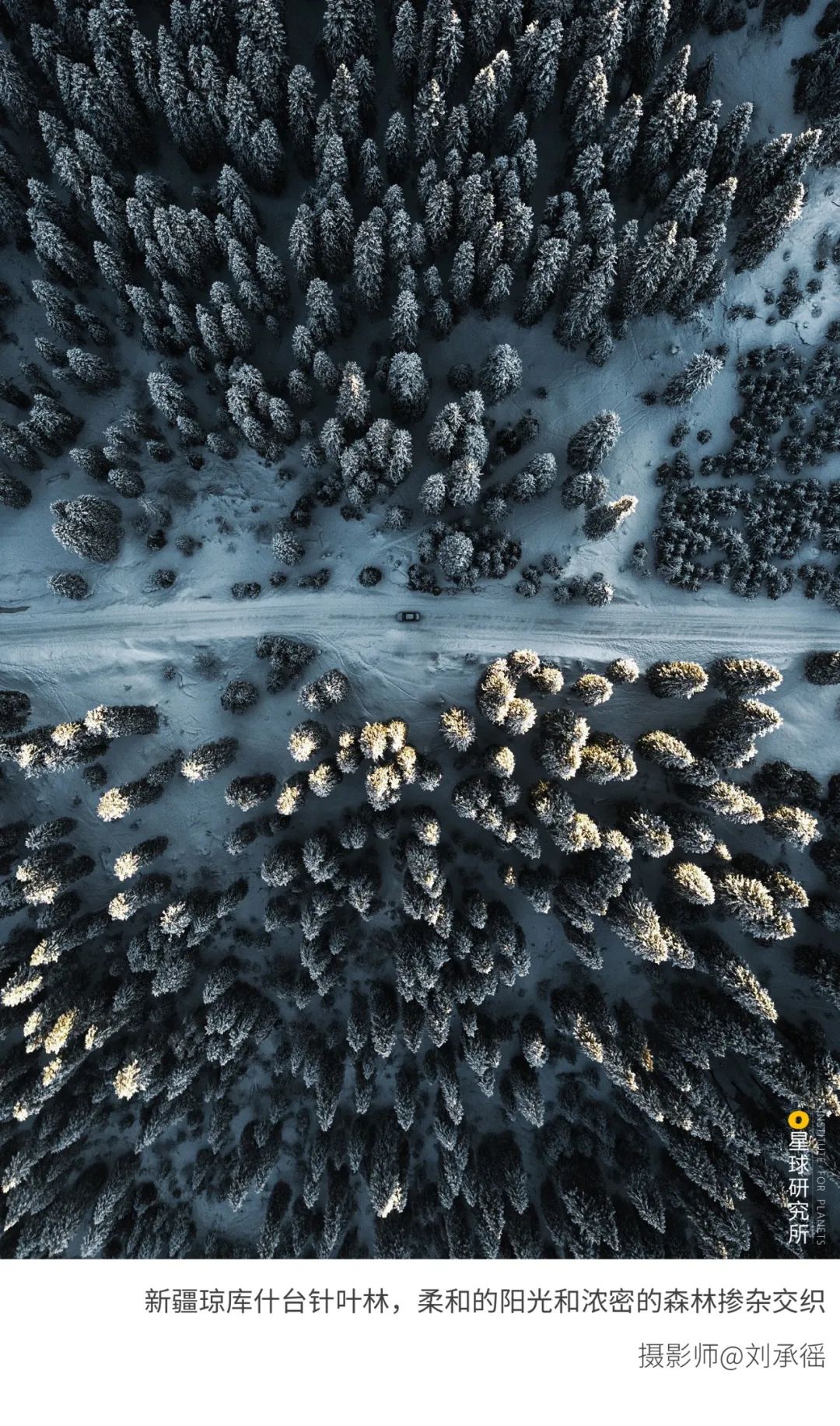 6種色彩，30張圖片，領略冬季之美