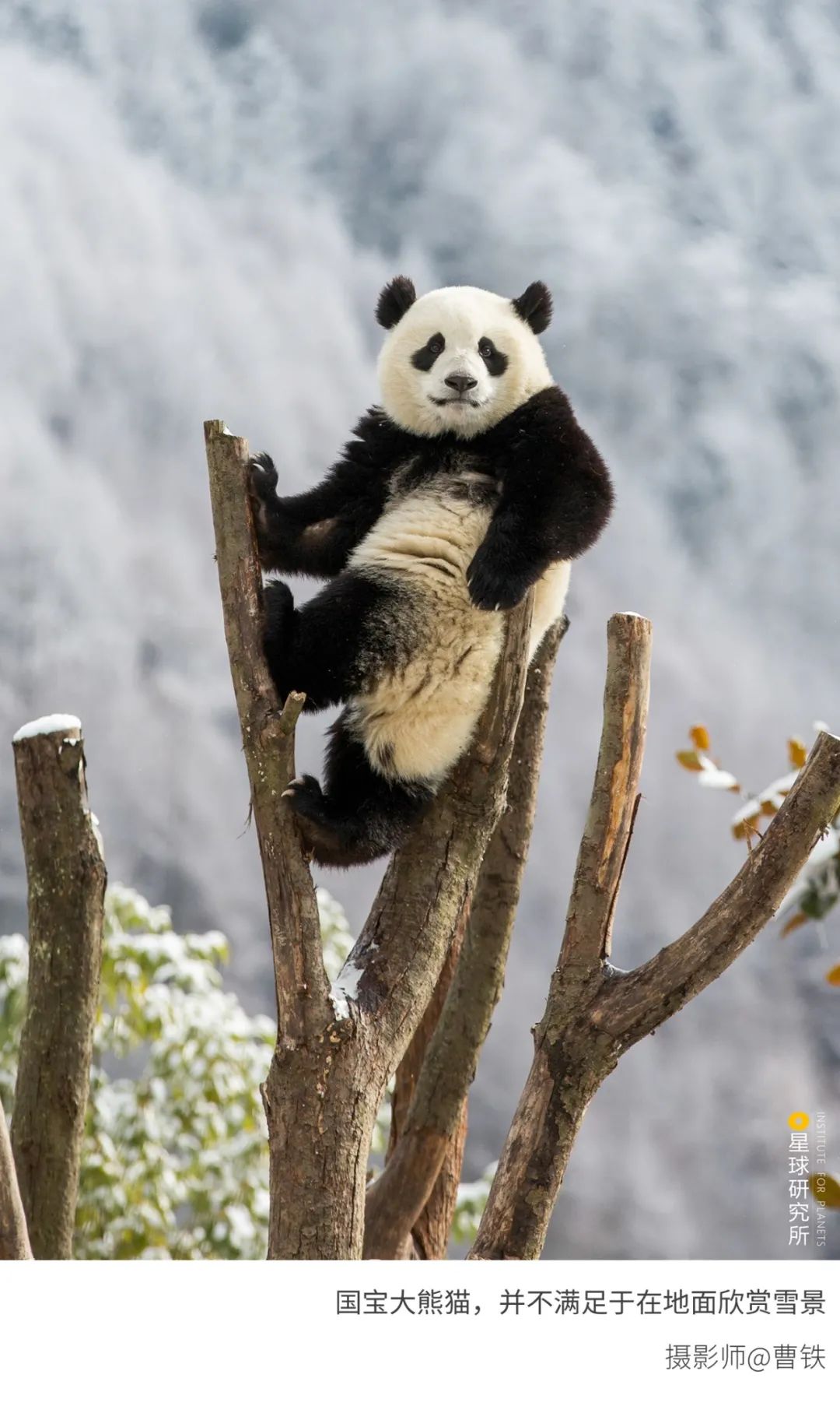 6種色彩，30張圖片，領略冬季之美