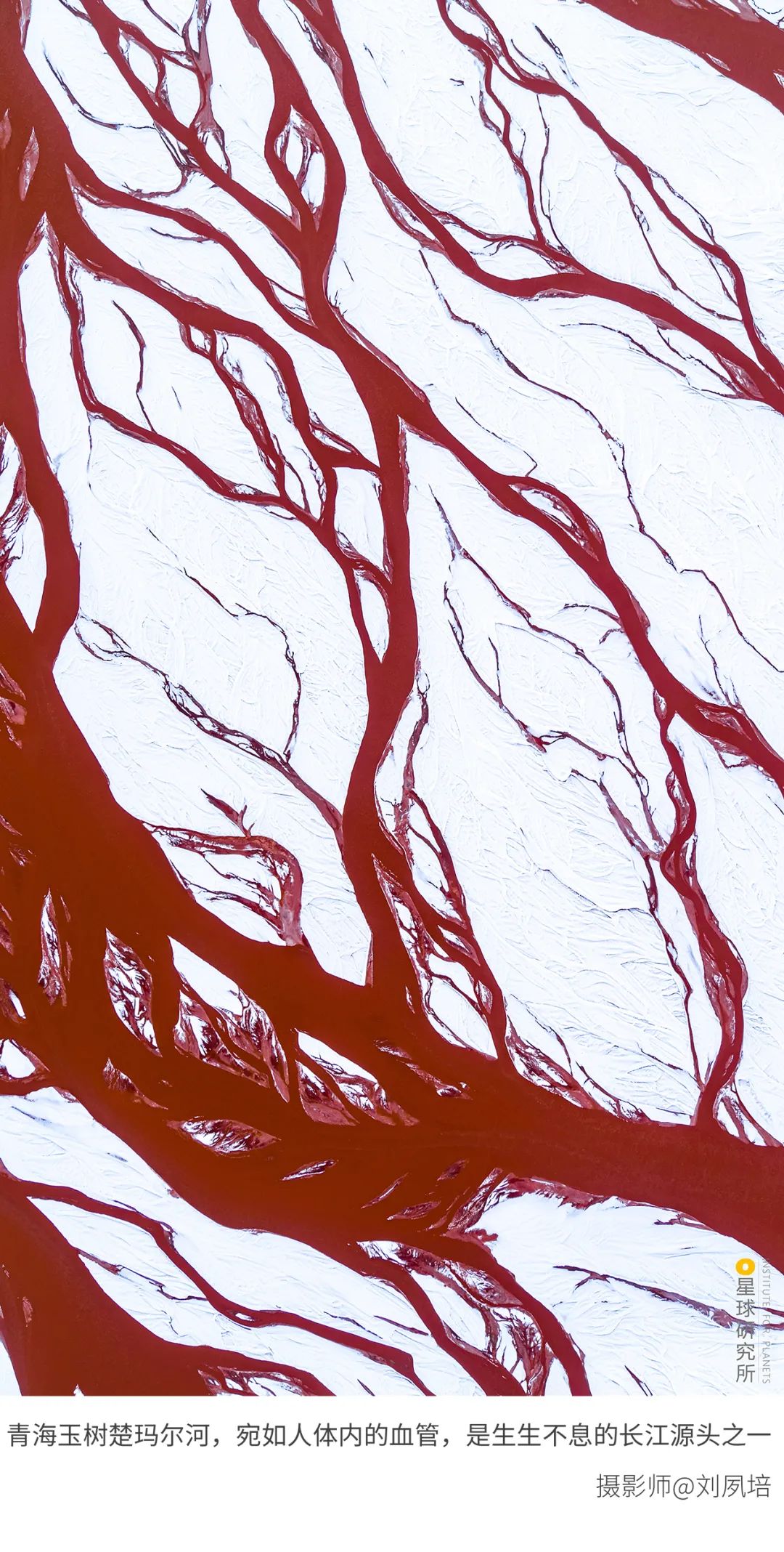 6種色彩，30張圖片，領略冬季之美