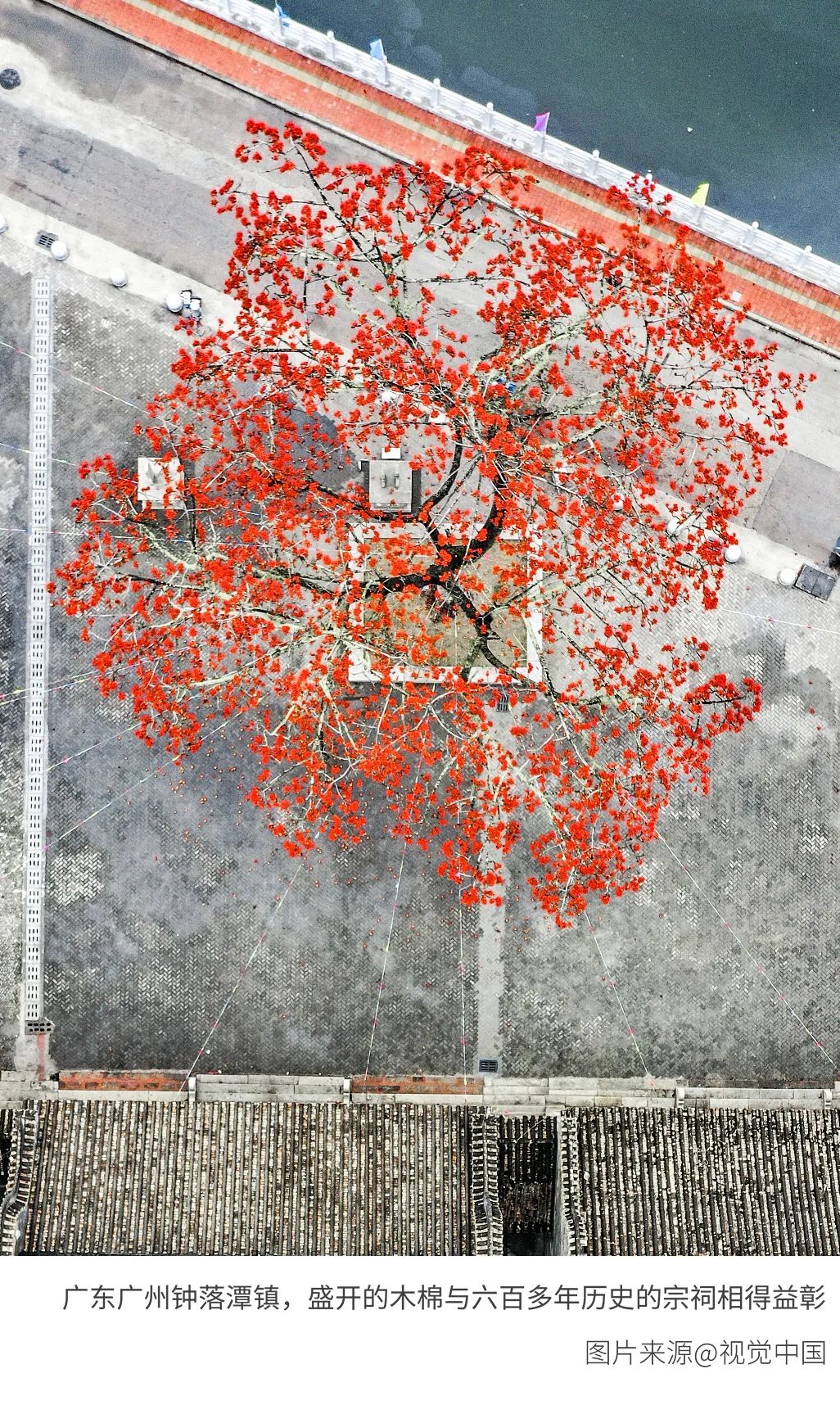 6種色彩，30張圖片，領略冬季之美