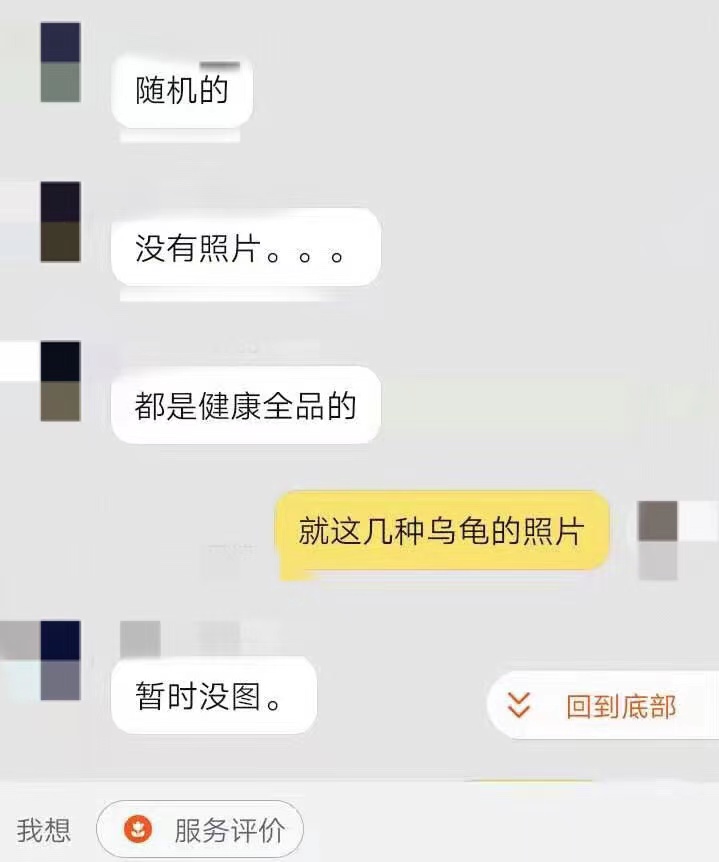 动物|起底活体动物盲盒乱象售出不退换 有卖家无法提供健康证明且称不予退换