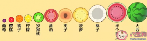 How to synthesize small sesame seed quickly? The synthesis playing a way that synthesizes small sesame seed to close introduces orderly