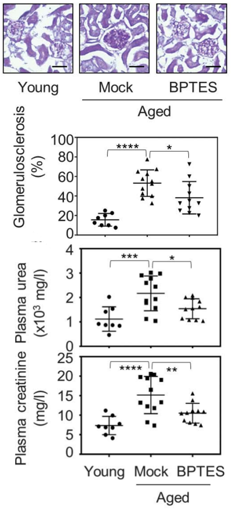 ����ѧ������˥��ϸ����ɱ����ѧ�ҷ���˥��ϸ�������Ȱ������ֽ⡸��������������ɰ�������˥��ϸ������ת˥�ϵ������仯ح��ѧ����