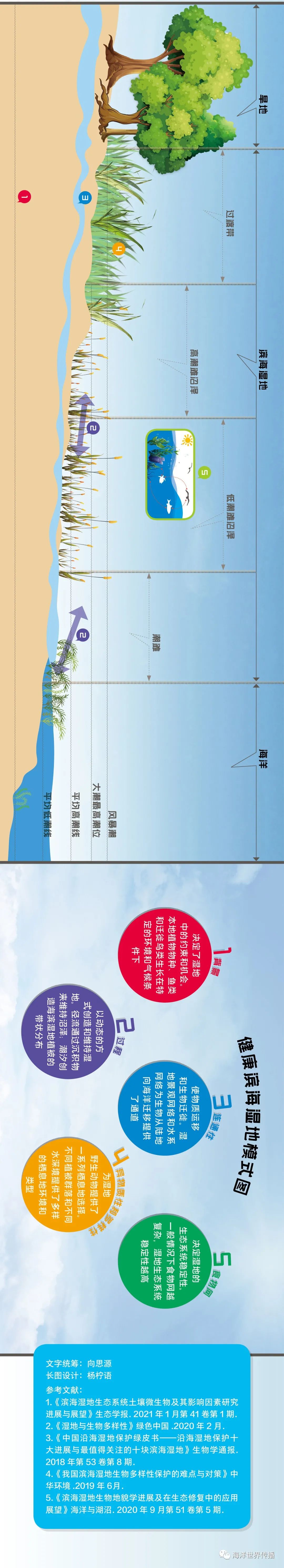 世界湿地日 保护滨海湿地生物多样性的延续和昌盛