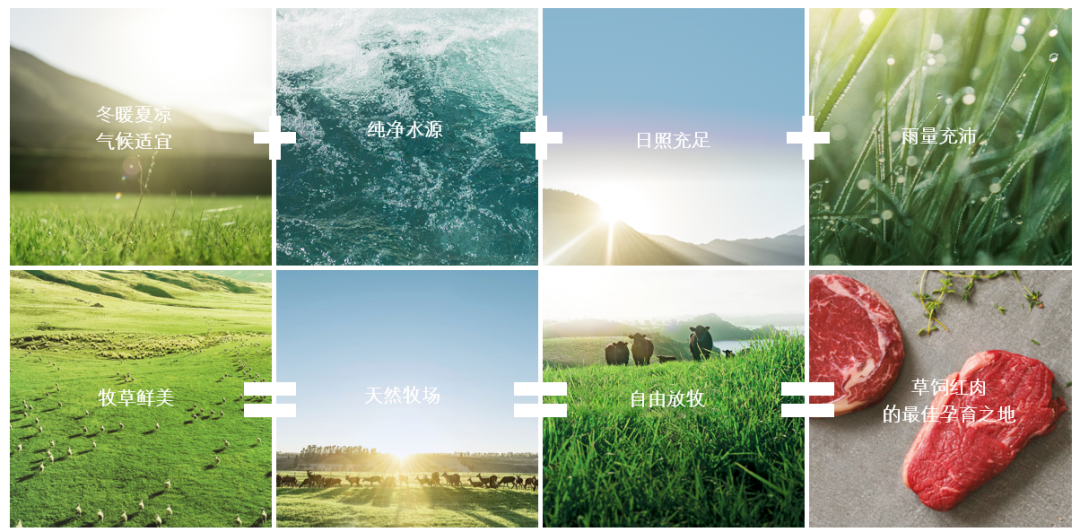 Too arrogant year, do one desk ox to enrage towering arrange