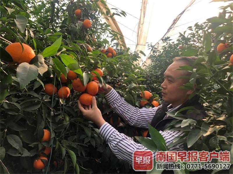 南宁生态果园别样美，邀你共享摘果赏花乐