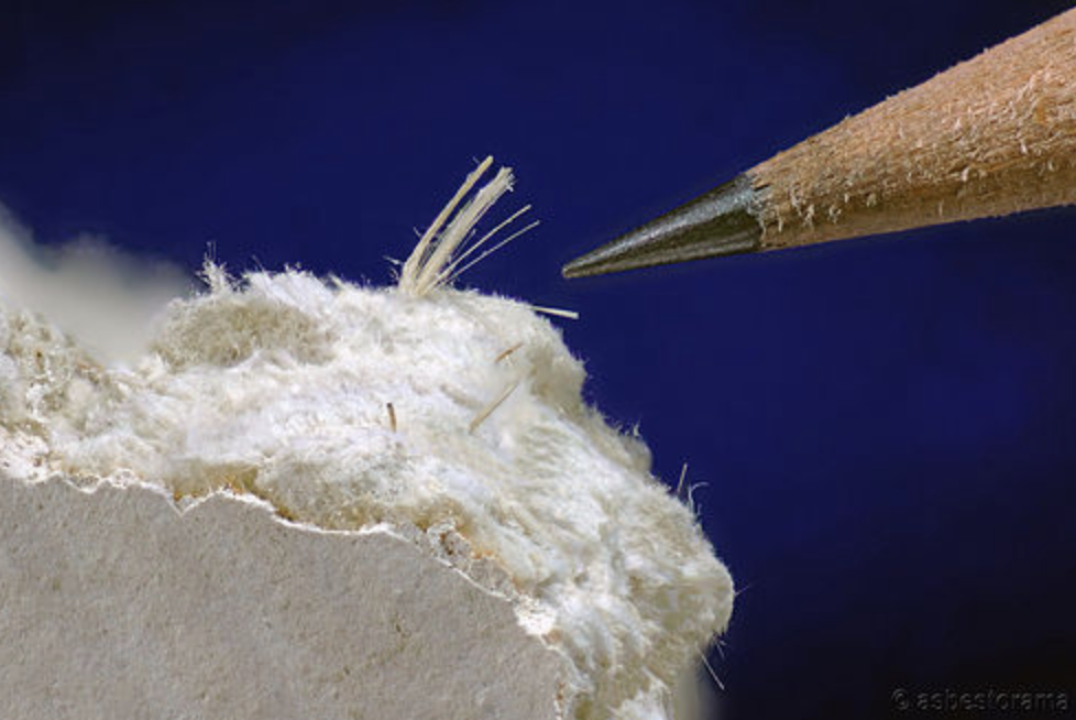 沒想到吧，古人居然用這些東西做“偉哥”