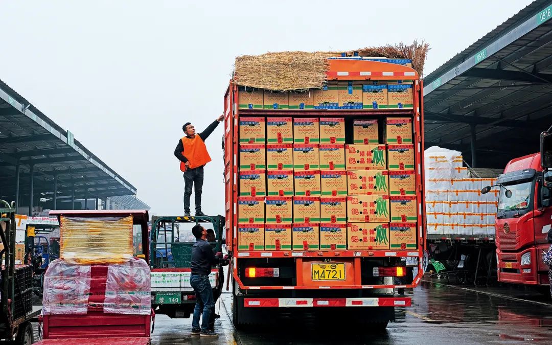 中國的“辣椒中心”在哪裏？