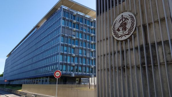 ����ר������ŦԼʱ���������涪����