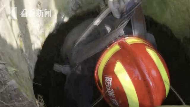 边走路边看手机 12岁女孩野外踏青坠入路边枯井