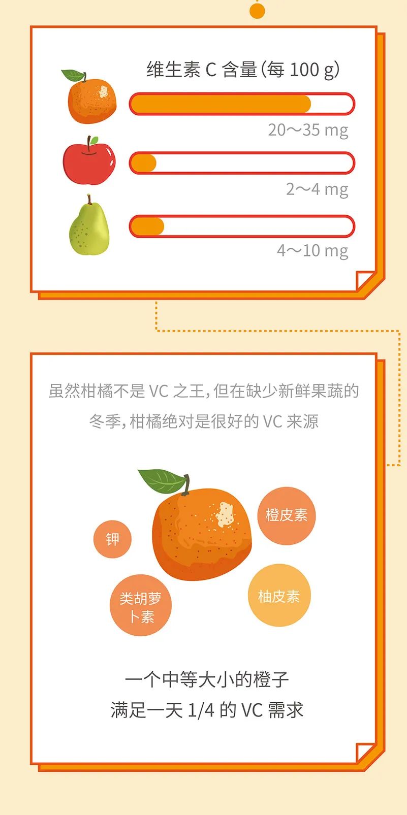 橘子、橙子、柚子……谁才是其中的水果之王？