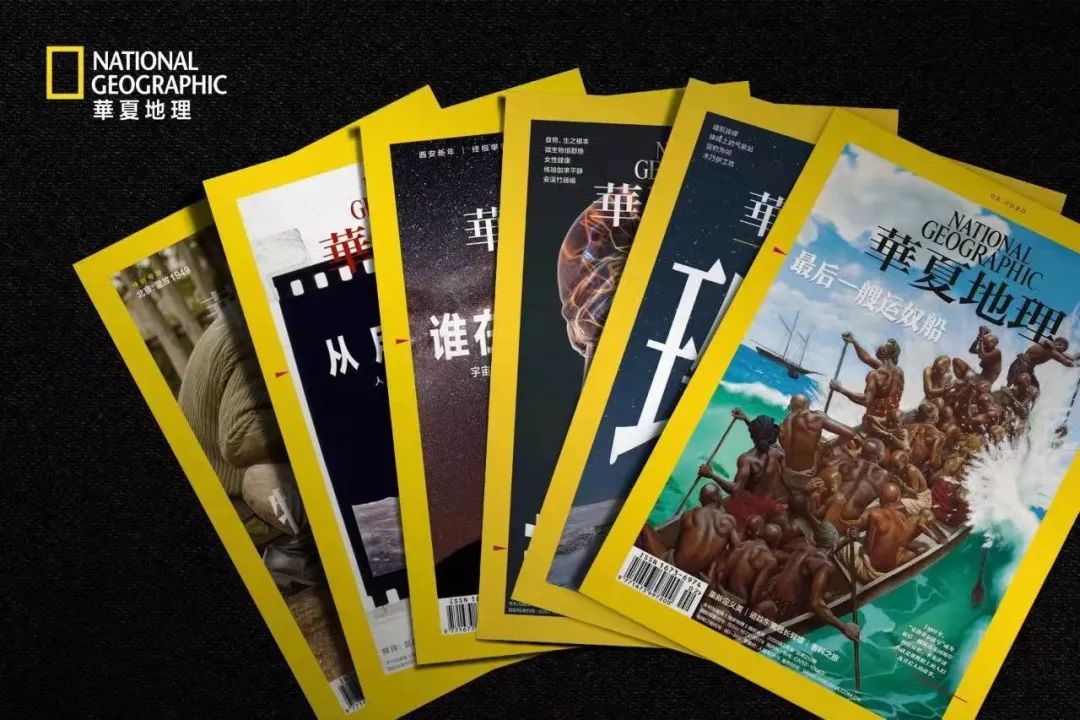 为什么非洲的河马频繁杀人？