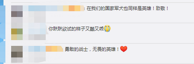 加勒万河谷冲突现场，我方军犬跳起往前冲！网友：同样是英雄