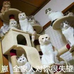 豆瓣9.0，平凡人的聖經，《平凡的世界》為什麽這麽火？