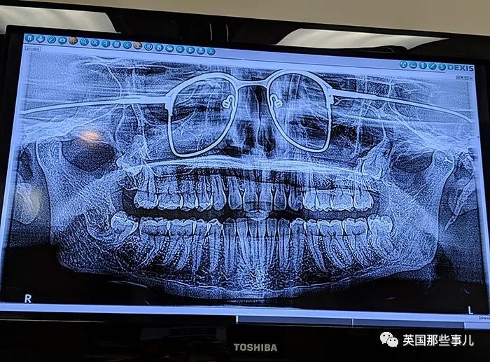 石棺裏藏貓貓，畫下還有另一副畫…X光下的各種物體原來這麽奇妙