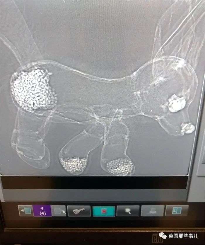石棺裏藏貓貓，畫下還有另一副畫…X光下的各種物體原來這麽奇妙