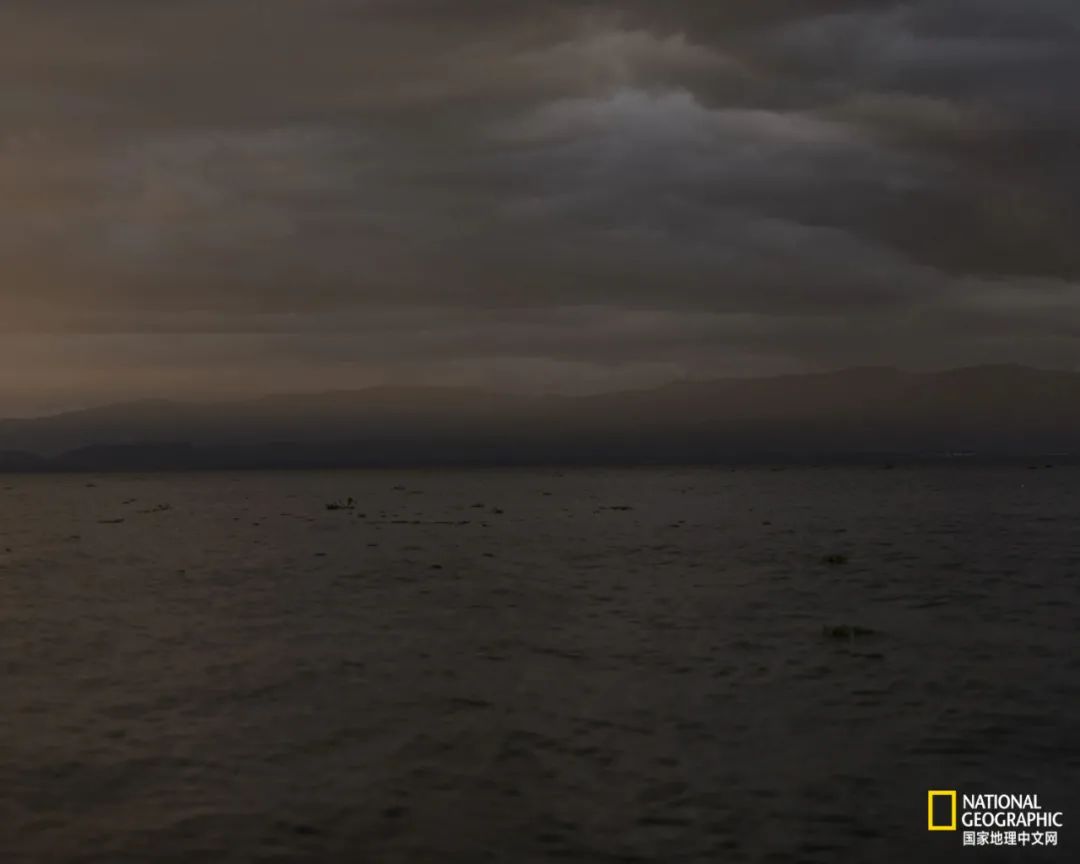 为什么非洲的河马频繁杀人？