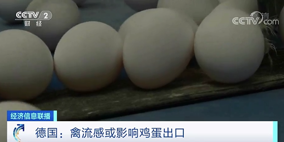 500万只家禽遭扑杀！禽流感疫情暴发，这里不“