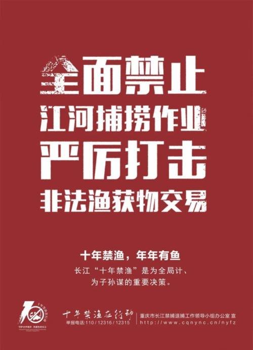 定了！永川这些地方禁止垂钓、游钓！严重的三年以下有期徒刑