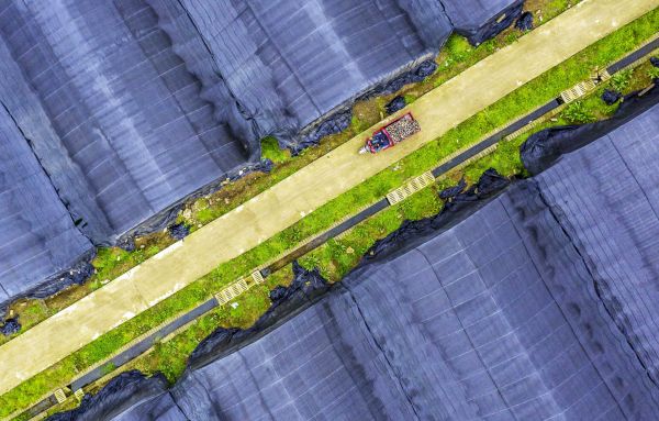 ��ѧ�ߣ��й�����׼�еȷ������ˮƽ